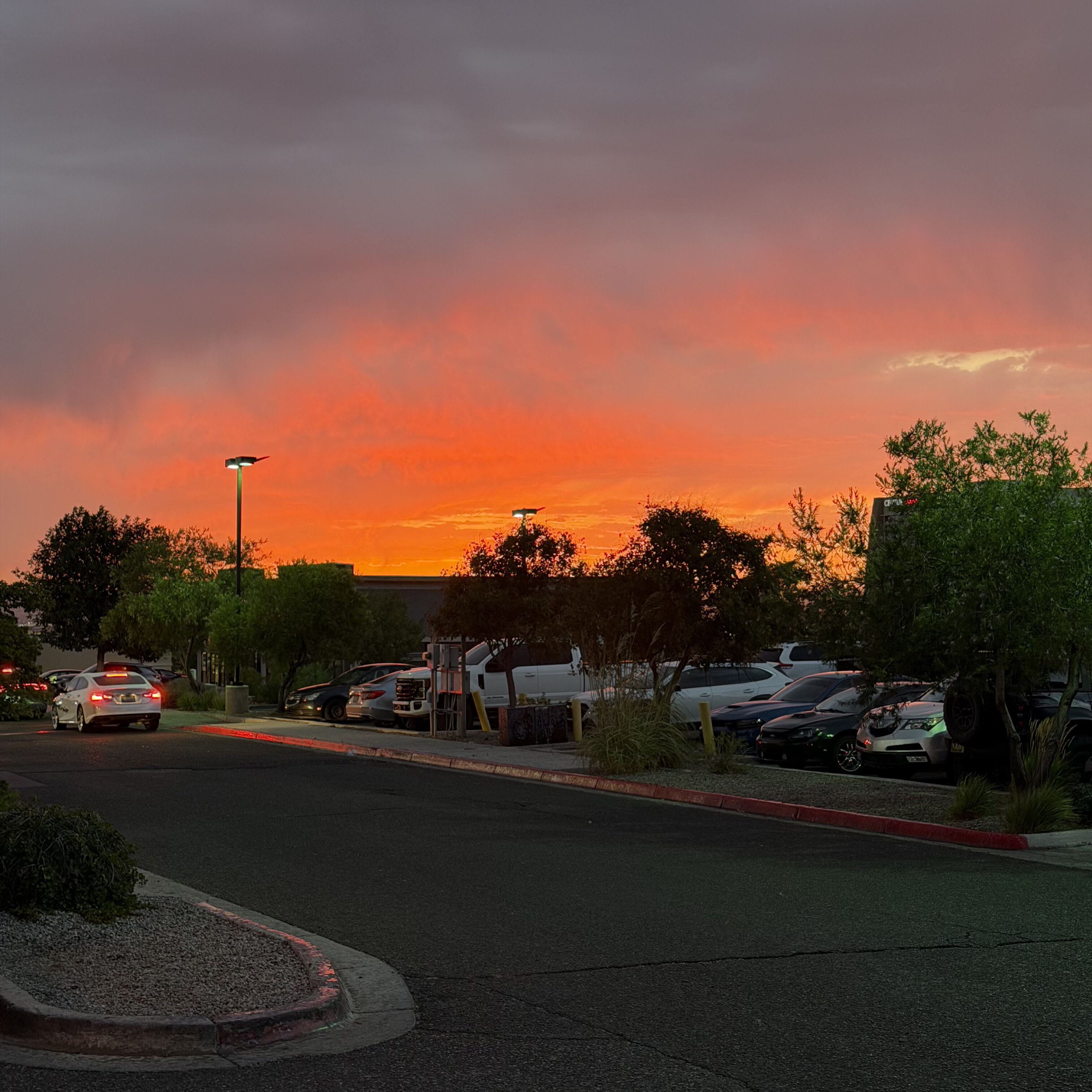 Road trip photo 10